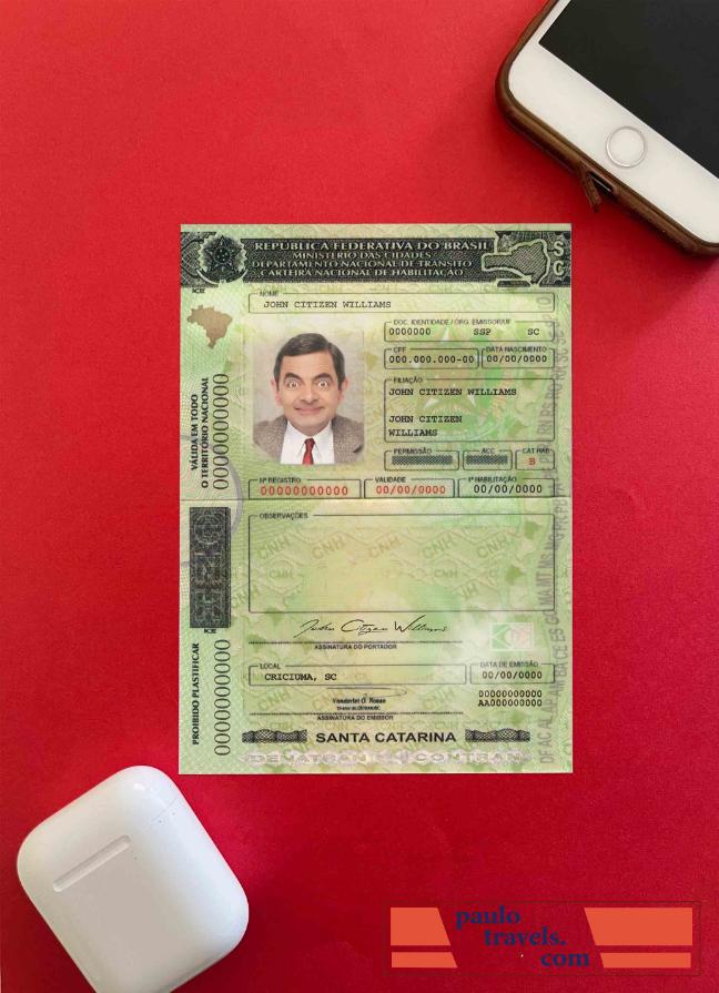 Brazil DL (Santa Catarina) photolook PSD template